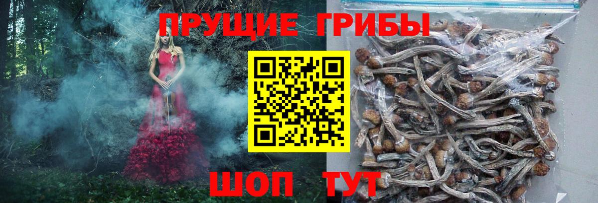 Псилоцибиновые грибы GOLDEN TEACHER  Вход с VPN  Сибай 